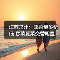 江苏常州：蔬菜量多价低 春菜夏菜交替明显（图4）