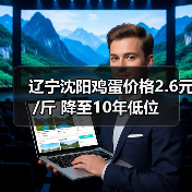 辽宁沈阳鸡蛋价格2.6元/斤 降至10年低位（图2）