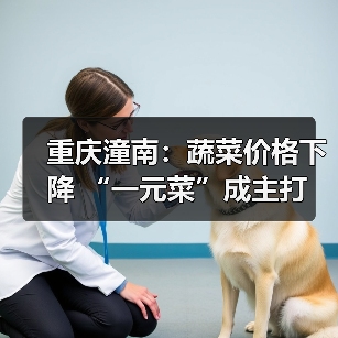 重庆潼南:蔬菜价格下降 “一元菜”成主打(图3) 重庆潼南:蔬菜价格下降 “一元菜”成主打(图3)