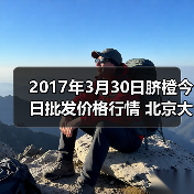2017年3月30日脐橙今日批发价格行情 北京大洋...（图2）