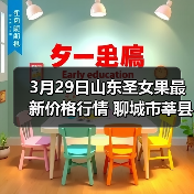 3月29日山东圣女果最新价格行情 聊城市莘县千...（图1）