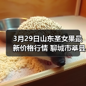 3月29日山东圣女果最新价格行情 聊城市莘县千...（图4）