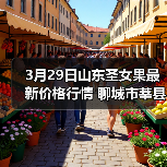 3月29日山东圣女果最新价格行情 聊城市莘县千...（图3）