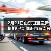 山东莒南县中甘11号价格稳定 亩增产近40%-松松肥园艺土 山东莒南县中甘11号价格稳定 亩增产近40%-松松肥园艺土