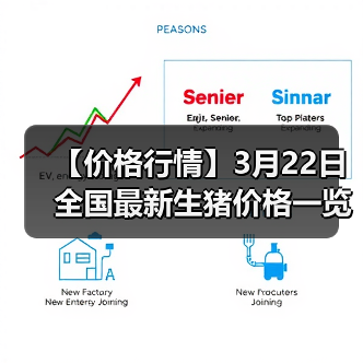 【价格行情】3月22日全国最新生猪价格一览表（图4）