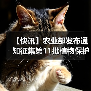 【快讯】农业部发布通知征集第11批植物保护品...(图3) 【快讯】农业部发布通知征集第11批植物保护品...(图3)