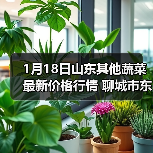 2026农产品价格趋势揭秘：雪里蕻党参行情与春耕备货指南-松