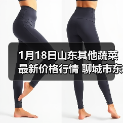 1月18日山东其他蔬菜最新价格行情 聊城市东昌...（图2）