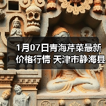 1月07日青海芹菜最新价格行情 天津市静海县加...（图3）