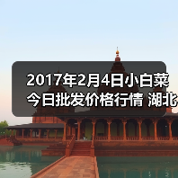 2017年2月4日小白菜今日批发价格行情 湖北武...(图2) 2017年2月4日小白菜今日批发价格行情 湖北武...(图2)