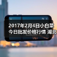 2017年2月4日小白菜今日批发价格行情 湖北武...(图3) 2017年2月4日小白菜今日批发价格行情 湖北武...(图3)