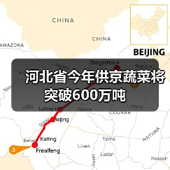 河北省今年供京蔬菜将突破600万吨(图1) 河北省今年供京蔬菜将突破600万吨(图1)