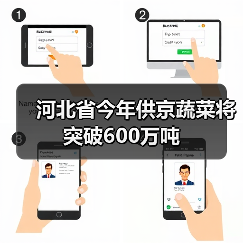 河北省今年供京蔬菜将突破600万吨(图3) 河北省今年供京蔬菜将突破600万吨(图3)