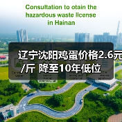 辽宁沈阳鸡蛋价格2.6元/斤 降至10年低位(图3) 辽宁沈阳鸡蛋价格2.6元/斤 降至10年低位(图3)