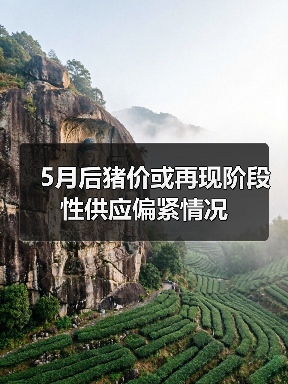 5月后猪价或再现阶段性供应偏紧情况（图1）