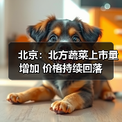 北京：北方蔬菜上市量增加 价格持续回落（图4）