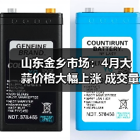 山东金乡市场:4月大蒜价格大幅上涨 成交量骤...(图4) 山东金乡市场:4月大蒜价格大幅上涨 成交量骤...(图4)