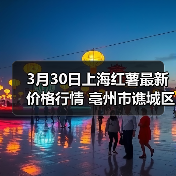 农产品价格行情预测2026年种苗农资走势分析-松松肥园艺土