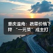 重庆潼南：蔬菜价格下降 “一元菜”成主打（图2）