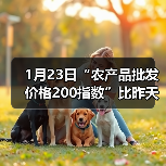 1月23日“农产品批发价格200指数”比昨天上升...（图1）