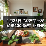 1月23日“农产品批发价格200指数”比昨天上升...（图2）