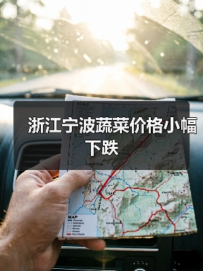 浙江宁波蔬菜价格小幅下跌（图2）