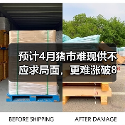 预计4月猪市难现供不应求局面，更难涨破8元/...（图2）