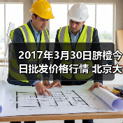 2017年3月30日脐橙今日批发价格行情 北京大洋...（图4）