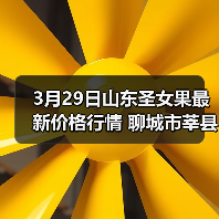 3月29日山东圣女果最新价格行情 聊城市莘县千...（图2）