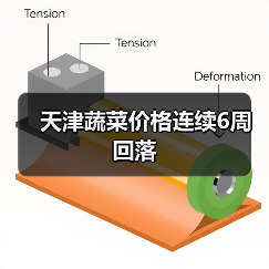 天津蔬菜价格连续6周回落（图4）