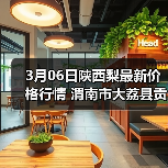 3月06日陕西梨最新价格行情 渭南市大荔县贡梨...(图3) 3月06日陕西梨最新价格行情 渭南市大荔县贡梨...(图3)