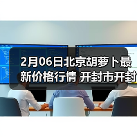 2月06日北京胡萝卜最新价格行情 开封市开封县...（图2）