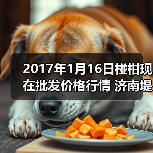 2026年农产品价格预测与市场行情分析-松松肥园艺土