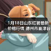 1月18日山东红薯最新价格行情 德州市夏津县龙...（图4）