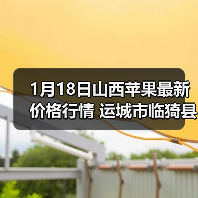 1月18日山西苹果最新价格行情 运城市临猗县红...（图2）
