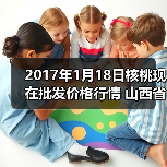 2017年1月18日核桃现在批发价格行情 山西省太...（图4）