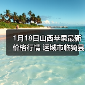 山西省临猗县红富士苹果价格及市场行情解析-松松肥园艺土