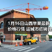 1月16日山西苹果最新价格行情 运城市临猗县纸...(图2) 1月16日山西苹果最新价格行情 运城市临猗县纸...(图2)
