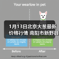 1月13日北京大葱最新价格行情 南阳市新野县铁...（图2）