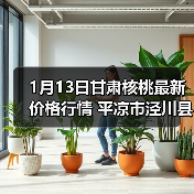 1月13日甘肃核桃最新价格行情 平凉市泾川县清...（图4）