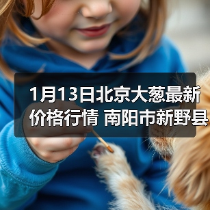 1月13日北京大葱最新价格行情 南阳市新野县铁...（图3）