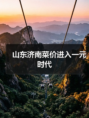 山东济南菜价进入一元时代（图2）