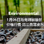 1月06日海南辣椒最新价格行情 昌江县薄皮泡椒...（图3）