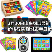 山东甜瓜价格行情：最新报价与市场动态-松松肥园艺土