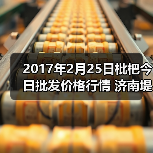 2017年2月25日枇杷今日批发价格行情 济南堤口...（图1）