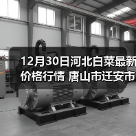 12月30日河北白菜最新价格行情 唐山市迁安市...（图3）
