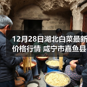 12月28日湖北白菜最新价格行情 咸宁市嘉鱼县...（图1）