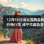 多地农产品价格波动分析:莲藕优质供应 鹏程菜价上涨-松松肥园 多地农产品价格波动分析:莲藕优质供应 鹏程菜价上涨-松松肥园