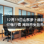 12月19日山东萝卜最新价格行情 潍坊市安丘市...（图3）