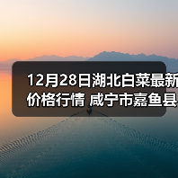 12月28日湖北白菜最新价格行情 咸宁市嘉鱼县...（图4）